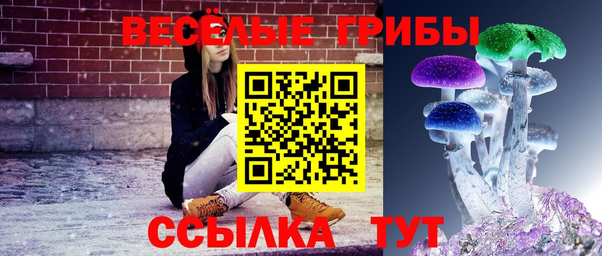Галлюциногенные грибы Cubensis Балашиха